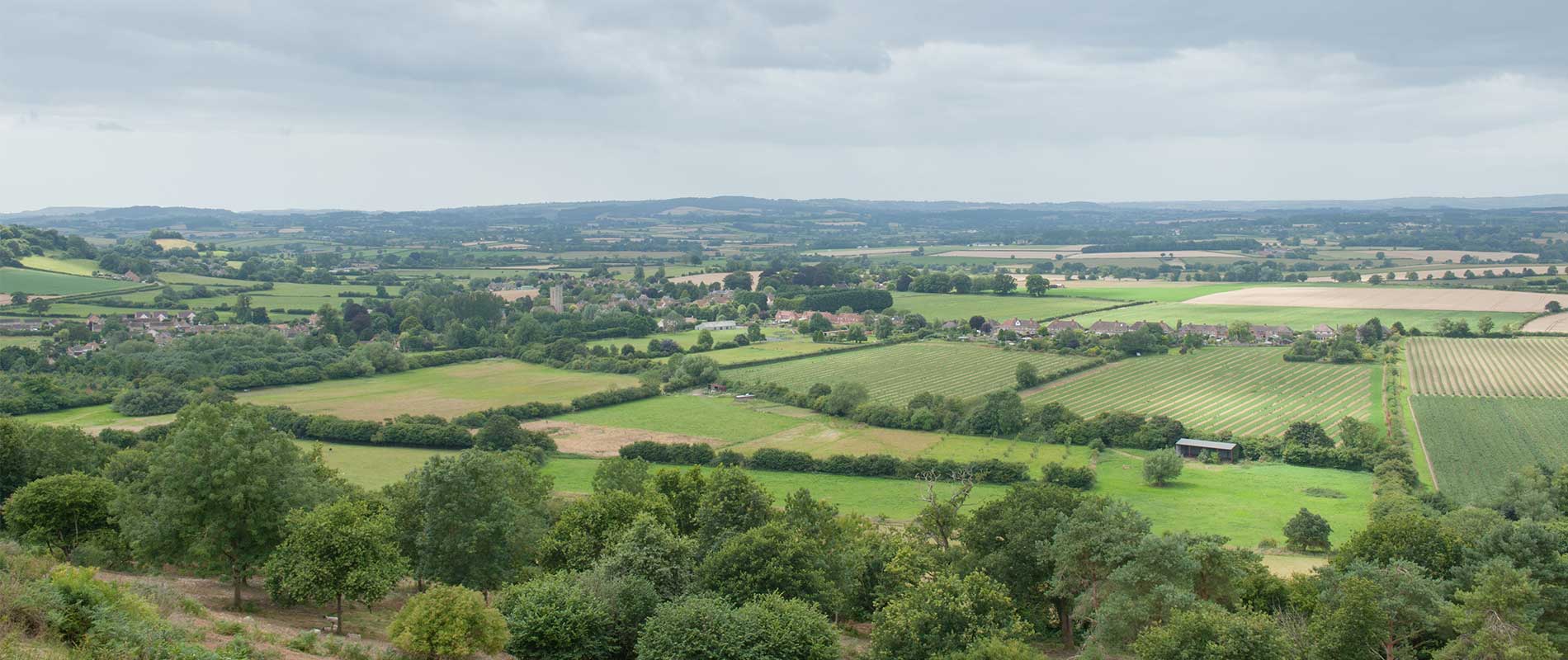 View of green fields and Somerset countryside